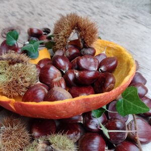 Potimarron & marrons